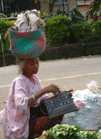 Carrying the groceries home