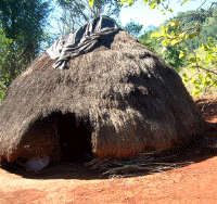 Traditional cooking hut