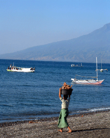 Carrying coconut husks for Copra