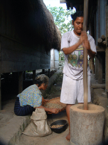 Indonesian Cuisinart