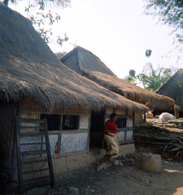 Traditional house