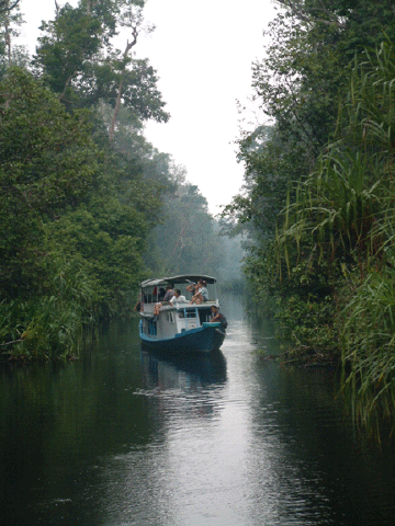 Up the river in the African Queen