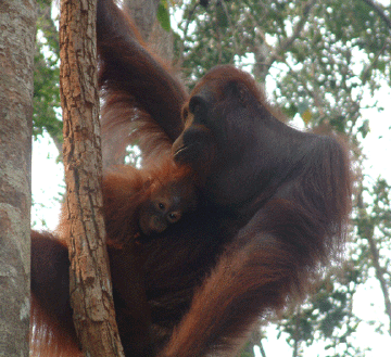 Mom and baby